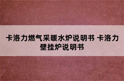 卡洛力燃气采暖水炉说明书 卡洛力壁挂炉说明书